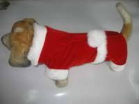 Dog clothes for christmas